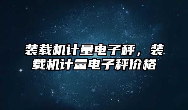 裝載機(jī)計量電子秤，裝載機(jī)計量電子秤價格