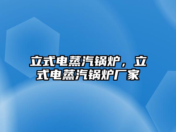 立式電蒸汽鍋爐，立式電蒸汽鍋爐廠家