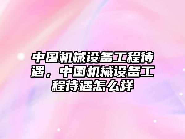 中國機械設備工程待遇，中國機械設備工程待遇怎么樣