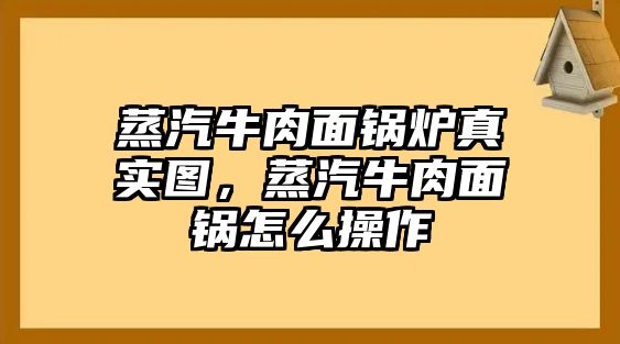 蒸汽牛肉面鍋爐真實圖，蒸汽牛肉面鍋怎么操作