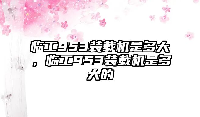 臨工953裝載機是多大，臨工953裝載機是多大的