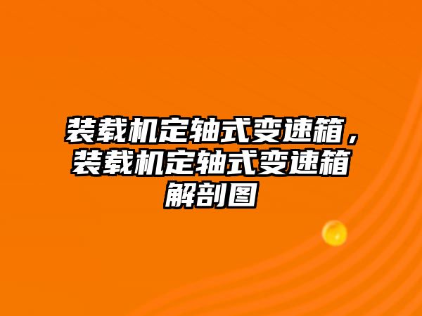 裝載機(jī)定軸式變速箱，裝載機(jī)定軸式變速箱解剖圖