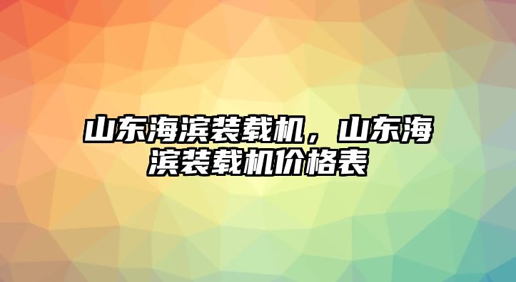 山東海濱裝載機，山東海濱裝載機價格表