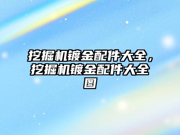 挖掘機鍍金配件大全，挖掘機鍍金配件大全圖