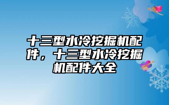 十三型水冷挖掘機配件，十三型水冷挖掘機配件大全