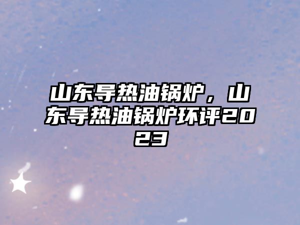 山東導熱油鍋爐，山東導熱油鍋爐環(huán)評2023