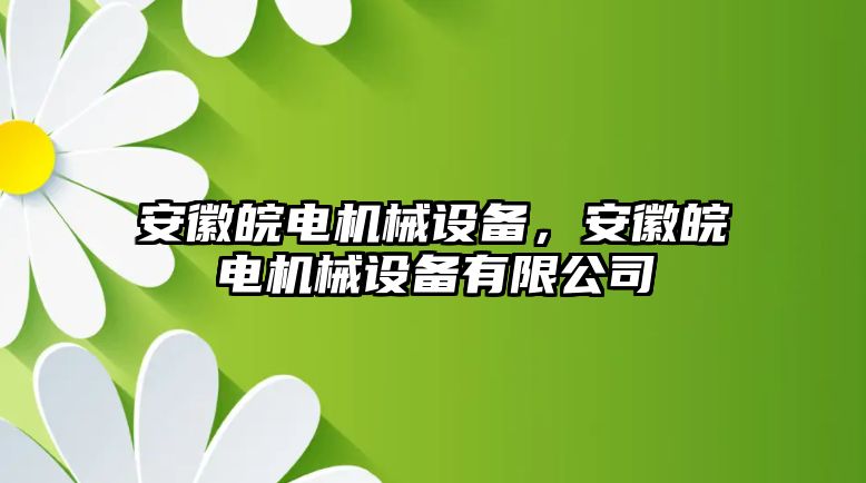 安徽皖電機械設(shè)備，安徽皖電機械設(shè)備有限公司