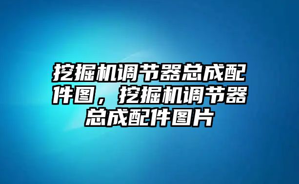 挖掘機(jī)調(diào)節(jié)器總成配件圖，挖掘機(jī)調(diào)節(jié)器總成配件圖片