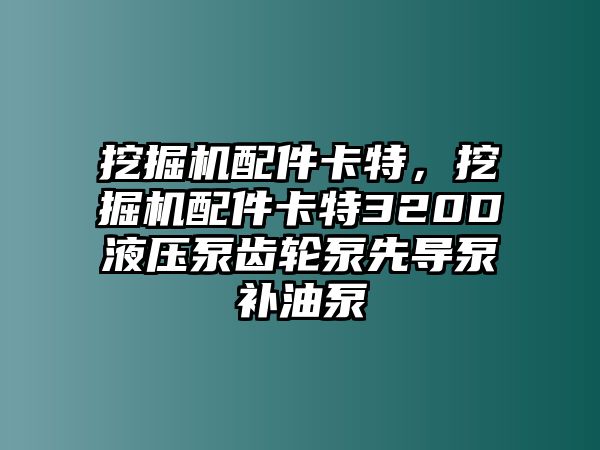 挖掘機(jī)配件卡特，挖掘機(jī)配件卡特320D液壓泵齒輪泵先導(dǎo)泵補(bǔ)油泵