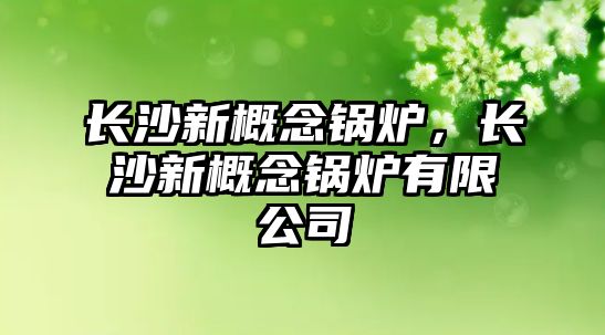 長(zhǎng)沙新概念鍋爐，長(zhǎng)沙新概念鍋爐有限公司