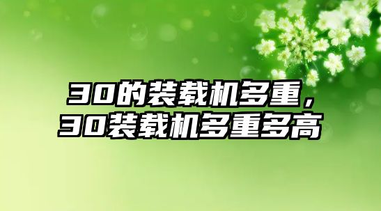 30的裝載機多重，30裝載機多重多高