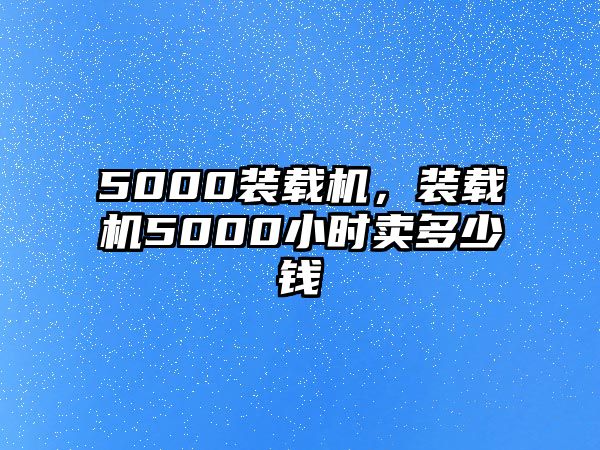 5000裝載機(jī)，裝載機(jī)5000小時(shí)賣多少錢