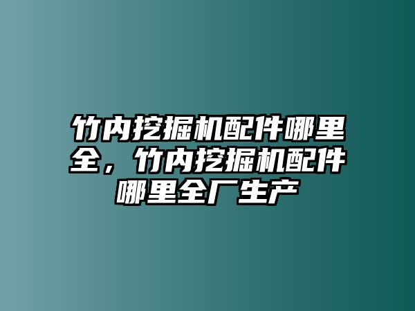 竹內(nèi)挖掘機(jī)配件哪里全，竹內(nèi)挖掘機(jī)配件哪里全廠生產(chǎn)