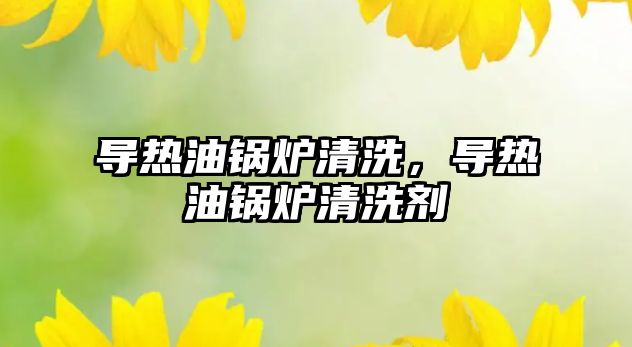 導(dǎo)熱油鍋爐清洗，導(dǎo)熱油鍋爐清洗劑