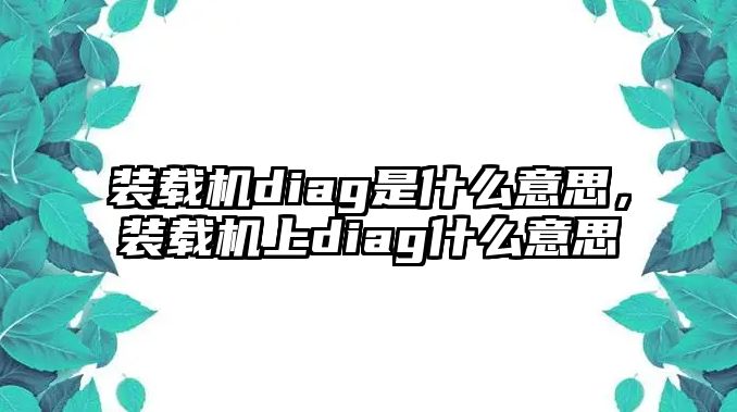 裝載機diag是什么意思，裝載機上diag什么意思