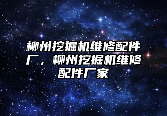 柳州挖掘機(jī)維修配件廠，柳州挖掘機(jī)維修配件廠家