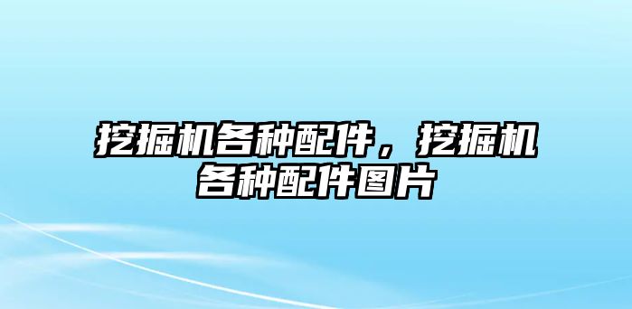 挖掘機各種配件，挖掘機各種配件圖片