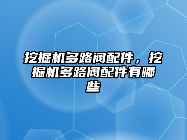 挖掘機(jī)多路閥配件，挖掘機(jī)多路閥配件有哪些