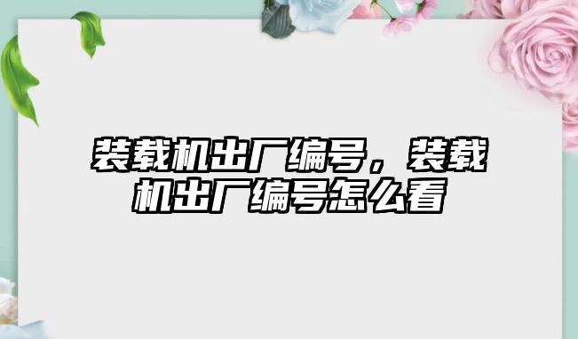 裝載機出廠編號，裝載機出廠編號怎么看