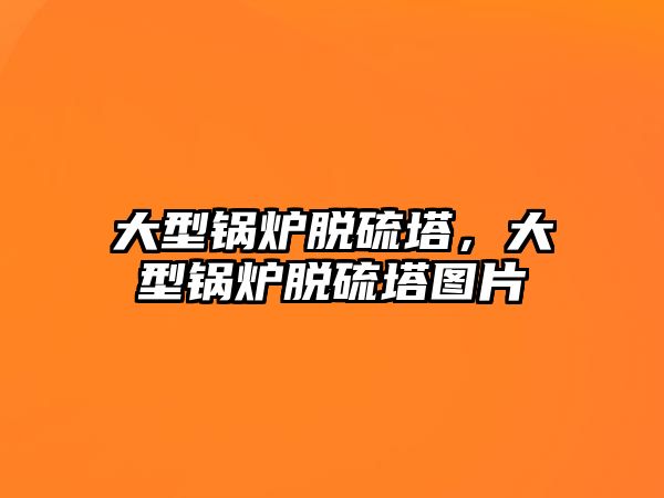 大型鍋爐脫硫塔，大型鍋爐脫硫塔圖片