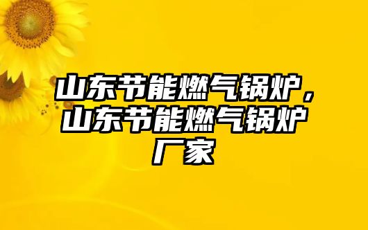 山東節(jié)能燃?xì)忮仩t，山東節(jié)能燃?xì)忮仩t廠家