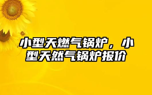 小型天燃?xì)忮仩t，小型天然氣鍋爐報(bào)價(jià)