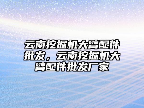 云南挖掘機大臂配件批發(fā)，云南挖掘機大臂配件批發(fā)廠家