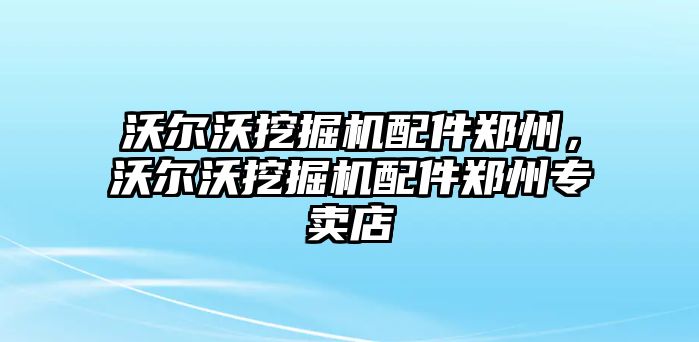 沃爾沃挖掘機(jī)配件鄭州，沃爾沃挖掘機(jī)配件鄭州專賣店