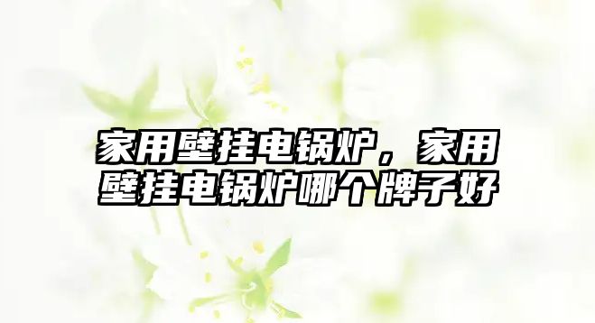 家用壁掛電鍋爐，家用壁掛電鍋爐哪個(gè)牌子好