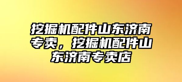 挖掘機(jī)配件山東濟(jì)南專賣，挖掘機(jī)配件山東濟(jì)南專賣店