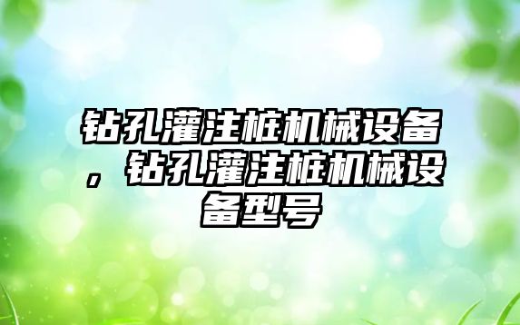 鉆孔灌注樁機械設備，鉆孔灌注樁機械設備型號