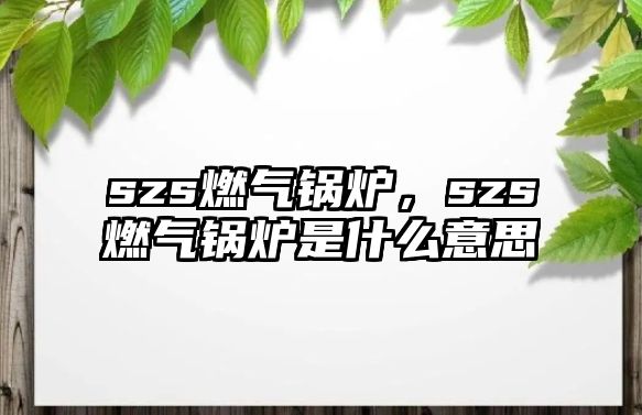 szs燃?xì)忮仩t，szs燃?xì)忮仩t是什么意思