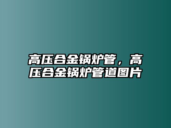 高壓合金鍋爐管，高壓合金鍋爐管道圖片