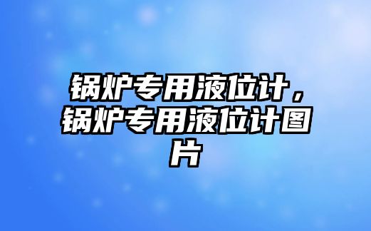 鍋爐專用液位計，鍋爐專用液位計圖片