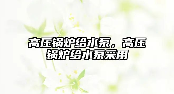 高壓鍋爐給水泵，高壓鍋爐給水泵采用