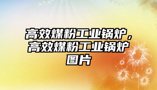 高效煤粉工業(yè)鍋爐，高效煤粉工業(yè)鍋爐圖片