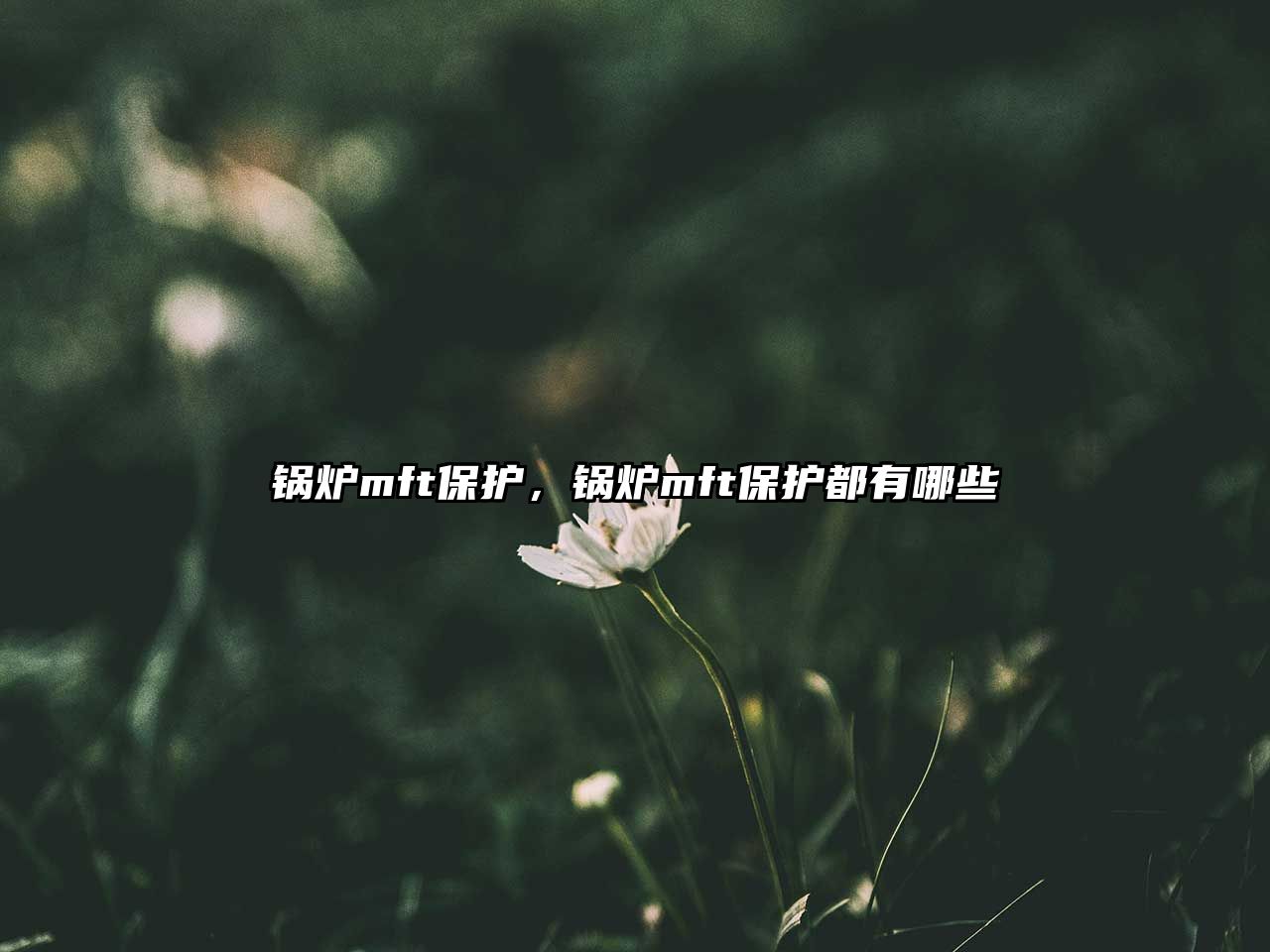 鍋爐mft保護，鍋爐mft保護都有哪些