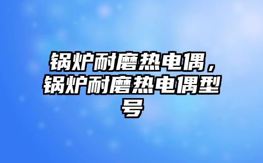 鍋爐耐磨熱電偶，鍋爐耐磨熱電偶型號(hào)