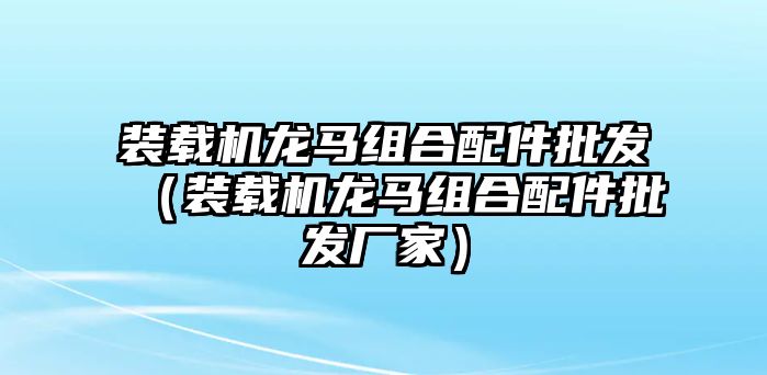 裝載機龍馬組合配件批發(fā)（裝載機龍馬組合配件批發(fā)廠家）