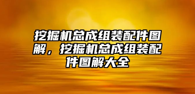 挖掘機總成組裝配件圖解，挖掘機總成組裝配件圖解大全