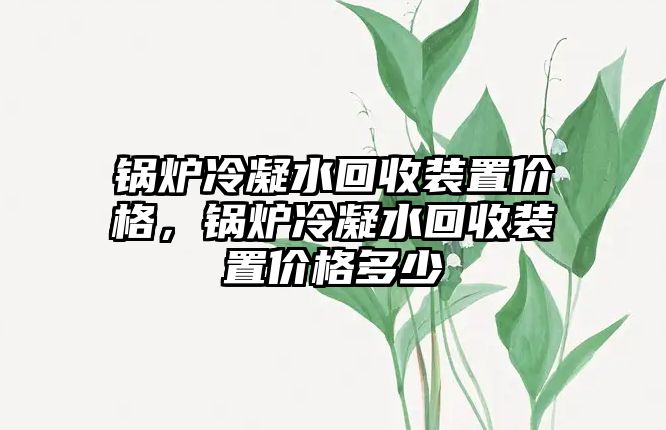 鍋爐冷凝水回收裝置價(jià)格，鍋爐冷凝水回收裝置價(jià)格多少