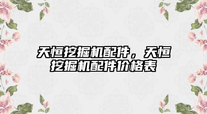 天恒挖掘機配件，天恒挖掘機配件價格表