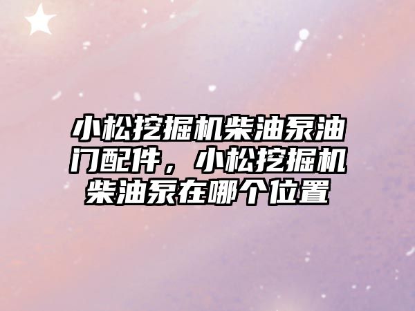 小松挖掘機柴油泵油門配件，小松挖掘機柴油泵在哪個位置