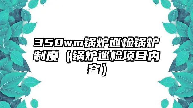 350wm鍋爐巡檢鍋爐制度（鍋爐巡檢項(xiàng)目?jī)?nèi)容）