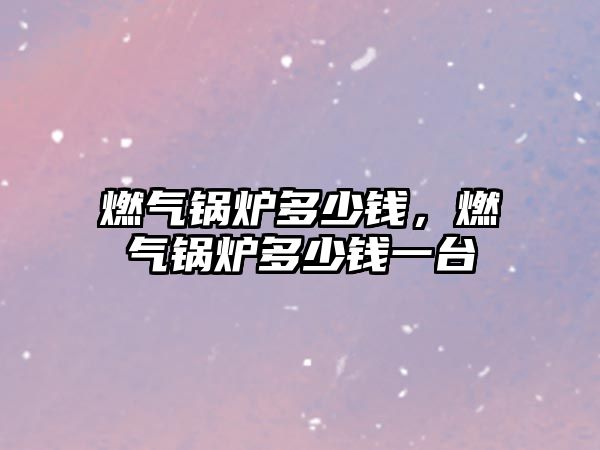 燃?xì)忮仩t多少錢，燃?xì)忮仩t多少錢一臺