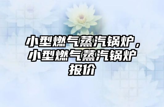 小型燃氣蒸汽鍋爐，小型燃氣蒸汽鍋爐報價