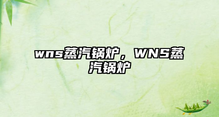 wns蒸汽鍋爐，WNS蒸汽鍋爐