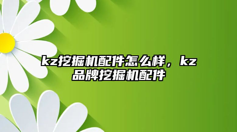 kz挖掘機配件怎么樣，kz品牌挖掘機配件