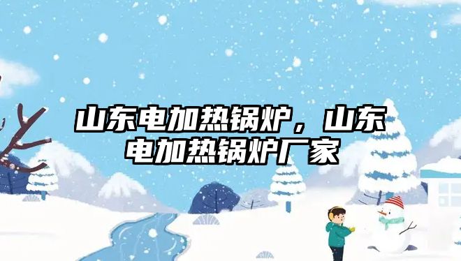 山東電加熱鍋爐，山東電加熱鍋爐廠家