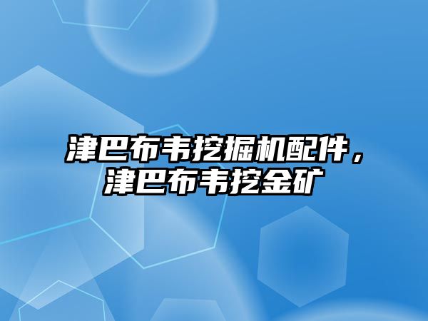 津巴布韋挖掘機(jī)配件，津巴布韋挖金礦